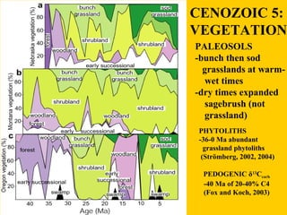 CENOZOIC 5: 
VEGETATION 
PALEOSOLS 
-bunch then sod 
grasslands at warm-wet 
times 
-dry times expanded 
sagebrush (not 
g...