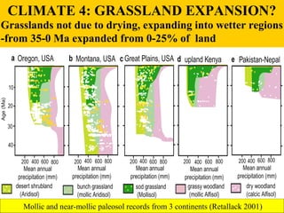 CLIMATE 4: GRASSLAND EXPANSION? 
Grasslands not due to drying, expanding into wetter regions 
-from 35-0 Ma expanded from ...