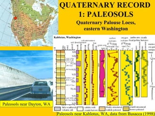 QUATERNARY RECORD 
1: PALEOSOLS 
Quaternary Palouse Loess, 
eastern Washington 
Paleosols near Kahlotus, WA, data from Bus...