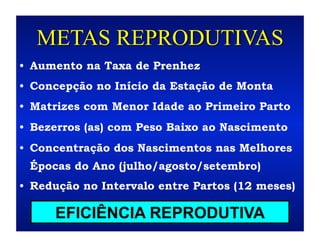 METAS REPRODUTIVAS
•  Aumento na Taxa de Prenhez
•  Concepção no Início da Estação de Monta
•  Matrizes com Menor Idade ao Primeiro Parto
•  Bezerros (as) com Peso Baixo ao Nascimento
•  Concentração dos Nascimentos nas Melhores
 Épocas do Ano (julho/agosto/setembro)
•  Redução no Intervalo entre Partos (12 meses)

      EFICIÊNCIA REPRODUTIVA
 