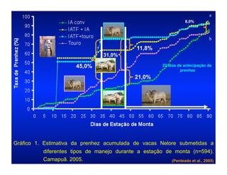 a
                                                                      8,0%


                                           a
                                                                                  b
                                           b    11,8%
                                  31,0%
                                           c
                       45,0%                               22 dias de antecipação da
                                                                    prenhez
                                               21,0%
                                           d




Gráfico 1. Estimativa da prenhez acumulada de vacas Nelore submetidas a
          diferentes tipos de manejo durante a estação de monta (n=594).
          Camapuã. 2005.                                 (Penteado et al., 2005)
 