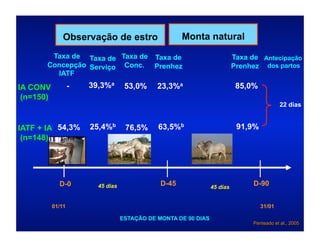 Observação de estro                    Monta natural
        Taxa de Taxa de Taxa de Taxa de                                    Taxa de Antecipação
       Concepção Serviço Conc. Prenhez                                     Prenhez dos partos
         IATF
IA CONV            -   39,3%a       53,0%     23,3%a                        85,0%
 (n=150)
                                                                                            22 dias


IATF + IA 54,3%        25,4%b       76,5%     63,5%b                        91,9%
 (n=148)




             D-0         45 dias               D-45              45 dias
                                                                                 D-90


           01/11                                                                    31/01

                                   ESTAÇÃO DE MONTA DE 90 DIAS
                                                                                Penteado et al., 2005
 