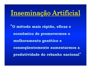 Inseminação Artificial
O método mais rápido, eficaz e
econômico de promovermos o
melhoramento genético e
conseqüentemente aumentarmos a
produtividade do rebanho nacional
 