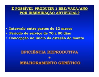 É POSSÍVEL PRODUZIR 1 BEZ/VACA/ANO
       POR INSEMINAÇÃO ARTIFICIAL?



•  Intervalo entre partos de 12 meses
•  Período de serviço de 70 a 80 dias
•  Concepção no início da estação de monta



       EFICIÊNCIA REPRODUTIVA
                  +
       MELHORAMENTO GENÉTICO
 