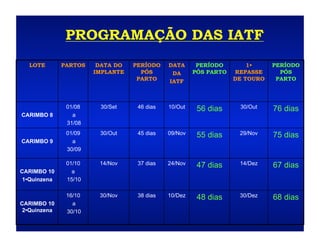 PROGRAMAÇÃO DAS IATF
  LOTE        PARTOS    DATA DO   PERÍODO    DATA      PERÍODO        1•     PERÍODO
                       IMPLANTE     PÓS       DA      PÓS PARTO   REPASSE      PÓS
                                   PARTO     IATF                 DE TOURO    PARTO




               01/08    30/Set     46 dias   10/Out    56 dias     30/Out    76 dias
CARIMBO 8        a
               31/08
               01/09    30/Out     45 dias   09/Nov    55 dias     29/Nov    75 dias
CARIMBO 9        a
               30/09

               01/10    14/Nov     37 dias   24/Nov    47 dias     14/Dez    67 dias
CARIMBO 10       a
 1•Quinzena    15/10

               16/10    30/Nov     38 dias   10/Dez    48 dias     30/Dez    68 dias
CARIMBO 10       a
 2•Quinzena    30/10
 
