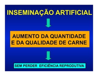 INSEMINAÇÃO ARTIFICIAL


 AUMENTO DA QUANTIDADE
 E DA QUALIDADE DE CARNE



  SEM PERDER EFICIÊNCIA REPRODUTIVA
 