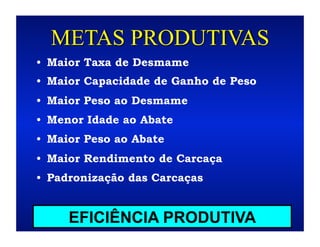 METAS PRODUTIVAS
•  Maior Taxa de Desmame
•  Maior Capacidade de Ganho de Peso
•  Maior Peso ao Desmame
•  Menor Idade ao Abate
•  Maior Peso ao Abate
•  Maior Rendimento de Carcaça
•  Padronização das Carcaças


     EFICIÊNCIA PRODUTIVA
 