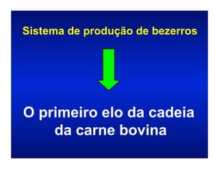 Sistema de produção de bezerros




O primeiro elo da cadeia
    da carne bovina
 