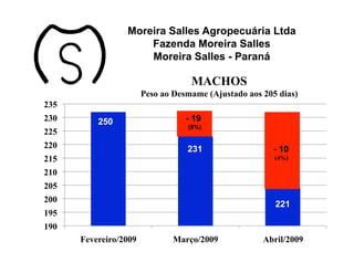 Moreira Salles Agropecuária Ltda
                     Fazenda Moreira Salles
                     Moreira Salles - Paraná

                                     MACHOS
                       Peso ao Desmame (Ajustado aos 205 dias)
235
230       250                       - 19
                                    (8%)
225
                                                       241
220                                 231                - 10
215                                                     (4%)

210
205
200                           216
                                                   208 221
195
190
      Fevereiro/2009           Março/2009            Abril/2009
 