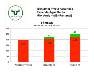Benjamin Piveta Assunção
                        Fazenda Água Santa
                        Rio Verde – MS (Pantanal)

                            FÊMEAS
                     (PESO AJUSTADO AOS 240 DIAS)
300

                                                       28
250
                                    13
200                                                   223
          195                      208
150

100

50

  0
      NELORE TOURO             NELORE IA            ANGUS IA
 