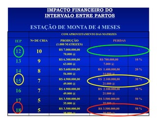 IMPACTO FINANCEIRO DO
              INTERVALO ENTRE PARTOS

      ESTAÇÃO DE MONTA DE 4 MESES
                      COM APROVEITAMENTO DAS MATRIZES

IEP   N• DE CRIA      PRODUÇÃO                       PERDAS
                   (1.000 MATRIZES)
                    R$ 7.000.000,00              -             -
12       10            70.000 @
                    R$ 6.300.000,00        R$ 700.000,00      10 %
13        9            63.000 @              7.000 @
                    R$ 5.600.000,00       R$ 1.400.000,00     20 %
14        8            56.000 @              14.000 @
                    R$ 4.900.000,00       R$ 2.100.000,00     30 %
15        7            49.000 @              21.000 @
                    R$ 4.900.000,00       R$ 2.100.000,00     30 %
16        7            49.000 @              21.000 @
                    R$ 3.500.000,00       R$ 3.500.000,00     50 %
17        5            35.000 @              35.000 @
                    R$ 3.500.000,00       R$ 3.500.000,00     50 %
18        5            35.000 @              35.000 @
 