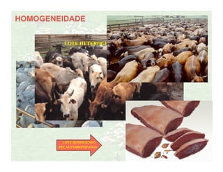 HOMOGENEIDADE


          LOTE HETEROGENEO




          LOTE HOMOGENEO
        PEÇAS PADRONIZADAS
 