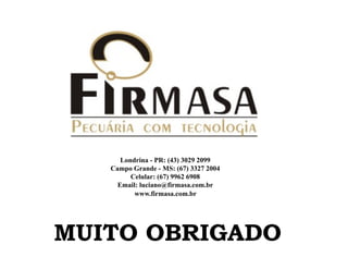 Londrina - PR: (43) 3029 2099
   Campo Grande - MS: (67) 3327 2004
         Celular: (67) 9962 6908
     Email: luciano@firmasa.com.br
          www.firmasa.com.br




MUITO OBRIGADO
 