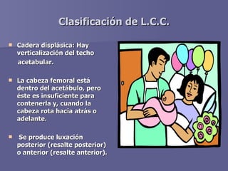 Clasificación de L.C.C. <ul><li>Cadera displásica: Hay verticalización del techo </li></ul><ul><li>acetabular. </li></ul><...