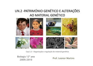 UN.2 -PATRIMÓNIO GENÉTICO E ALTERAÇÕES
         AO MATERIAL GENÉTICO




        Cap.1.2 – Organização e regulação do material genético

 Biologia 12º ano
                                         Prof. Leonor Martins
    2009/2010
 