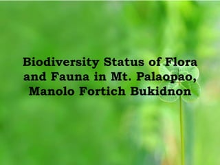 Biodiversity Status of Flora
and Fauna in Mt. Palaopao,
Manolo Fortich Bukidnon
 