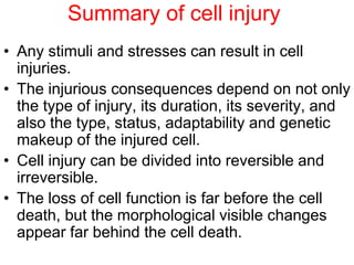 2+3- Pathology-Cellular-Injury Adaptation-to-Stress Iinjury.ppt