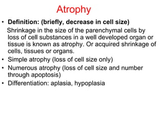 2+3- Pathology-Cellular-Injury Adaptation-to-Stress Iinjury.ppt