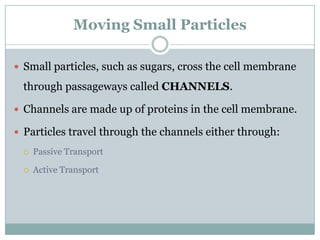 Moving Small Particles

 Small particles, such as sugars, cross the cell membrane

 through passageways called CHANNELS.

 Channels are made up of proteins in the cell membrane.

 Particles travel through the channels either through:

    Passive Transport

    Active Transport
 