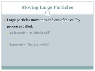 Moving Large Particles

 Large particles move into and out of the cell by

 processes called:
    Endocytosis = “Within the Cell”



    Exocytosis = “Outside the Cell”
 