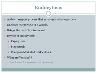 Endocytosis

 Active transport process that surrounds a large particle.

 Encloses the particle in a vesicle.

 Brings the particle into the cell.

 2 types of endocytosis:

    Fagocytosis

    Pinocytosis

    Receptor-Mediated Endocytosis

 What are Vesicles??
     Sacs formed from pieces of cell membrane
 