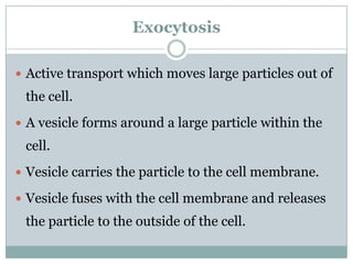 Exocytosis

 Active transport which moves large particles out of
 the cell.
 A vesicle forms around a large particle within the
 cell.
 Vesicle carries the particle to the cell membrane.

 Vesicle fuses with the cell membrane and releases
 the particle to the outside of the cell.
 