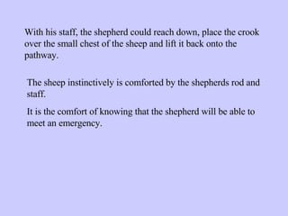 With his staff, the shepherd could reach down, place the crook over the small chest of the sheep and lift it back onto the pathway.  The sheep instinctively is comforted by the shepherds rod and staff.  It is the comfort of knowing that the shepherd will be able to meet an emergency. 