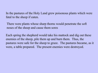 In the pastures of the Holy Land grew poisonous plants which were fatal to the sheep if eaten. There were plants whose sharp thorns would penetrate the soft noses of the sheep and cause them sores Each spring the shepherd would take his mattock and dig out these enemies of the sheep, pile them up and burn them.  Thus, the pastures were safe for the sheep to graze.  The pastures became, as it were, a table prepared.  The present enemies were destroyed. 