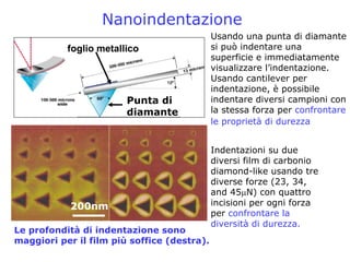 2.3     P  Spm Cenni