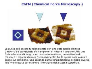 2.3     P  Spm Cenni