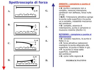 2.3     P  Spm Cenni