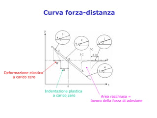 2.3     P  Spm Cenni