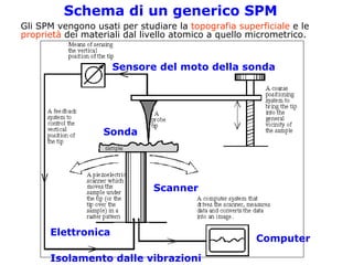 2.3     P  Spm Cenni