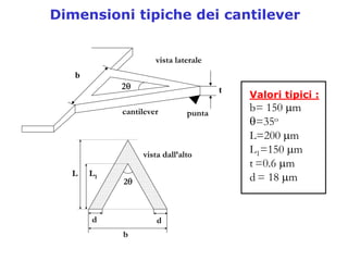 2.3     P  Spm Cenni