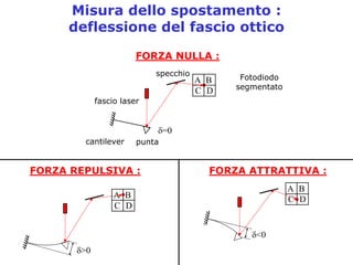 2.3     P  Spm Cenni