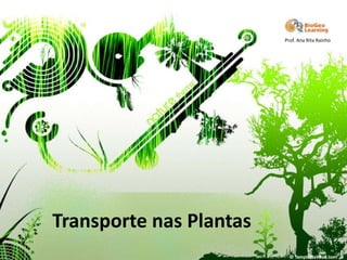 Prof. Ana Rita Rainho

Transporte nas Plantas

 