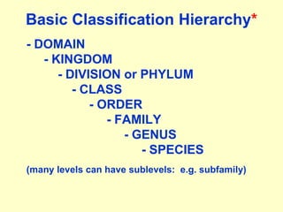 230-Classification-Systematics animal phylogeny.ppt