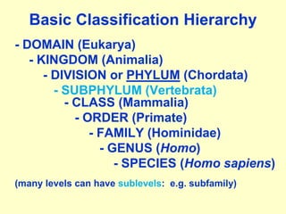 230-Classification-Systematics animal phylogeny.ppt
