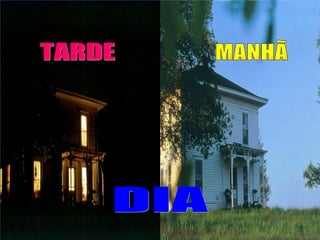 DIA MANHÃ TARDE 