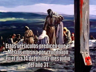 Estos versículos predicen que el  Mesías moriría por crucifixión en el día 14 del primer mes judío del año 31 