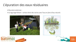 ØÉpuration extensive :
ØLe lagunage flottant - contact direct des racines avec l'eau en plans d'eau naturels
L’épuration des eaux résiduaires
 