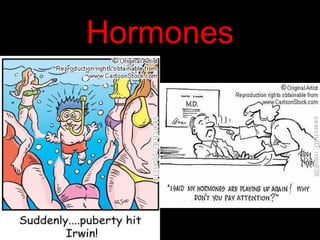 Hormones
 