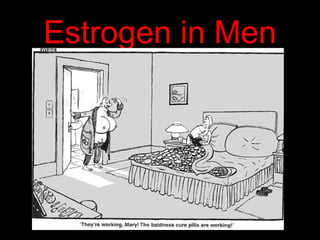 Estrogen in Men
 