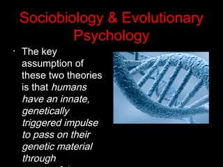 Sociobiology & Evolutionary
Psychology
•
The key
assumption of
these two theories
is that humans
have an innate,
genetically
triggered impulse
to pass on their
genetic material
through
 