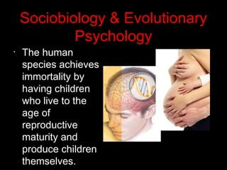 •
The human
species achieves
immortality by
having children
who live to the
age of
reproductive
maturity and
produce children
themselves.
Sociobiology & Evolutionary
Psychology
 