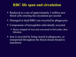Iron Rbc Feedback mechanism for rapid transport of nutrients.ppt