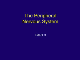 The Peripheral
Nervous System

     PART 3
 