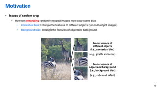 • Issues of random crop
• However, entangling randomly cropped images may occur scene bias
• Contextual bias: Entangle the features of different objects (for multi-object images)
• Background bias: Entangle the features of object and background
Motivation
12
 
