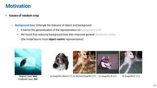 • Issues of random crop
• Background bias: Entangle the features of object and background
• It harms the generalization of the representation on background shift
• We found that reducing background bias also improves general distribution shifts
(the model learns more object-centric representation)
Motivation
14
 