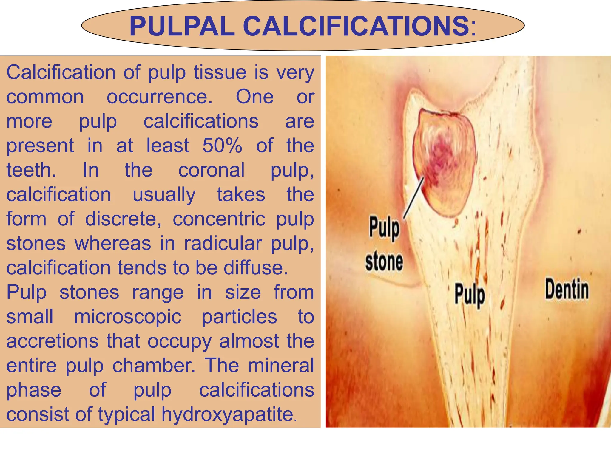 Pulpal Classification Oral histology : BDS- 1st year Dental-Pulp-Ppt.ppt